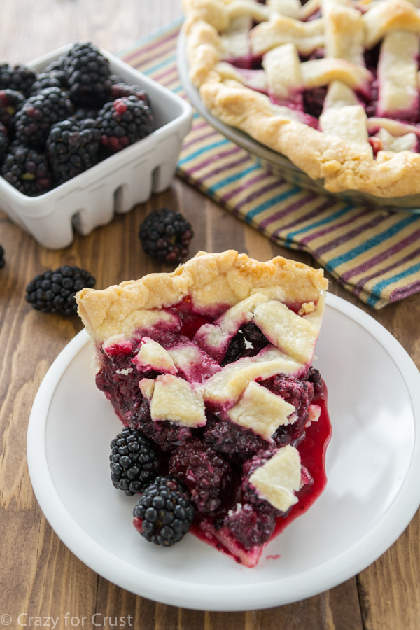12 Easy Blackberry Pie Recipes Fresh Blackberry Pie Filling Ideas