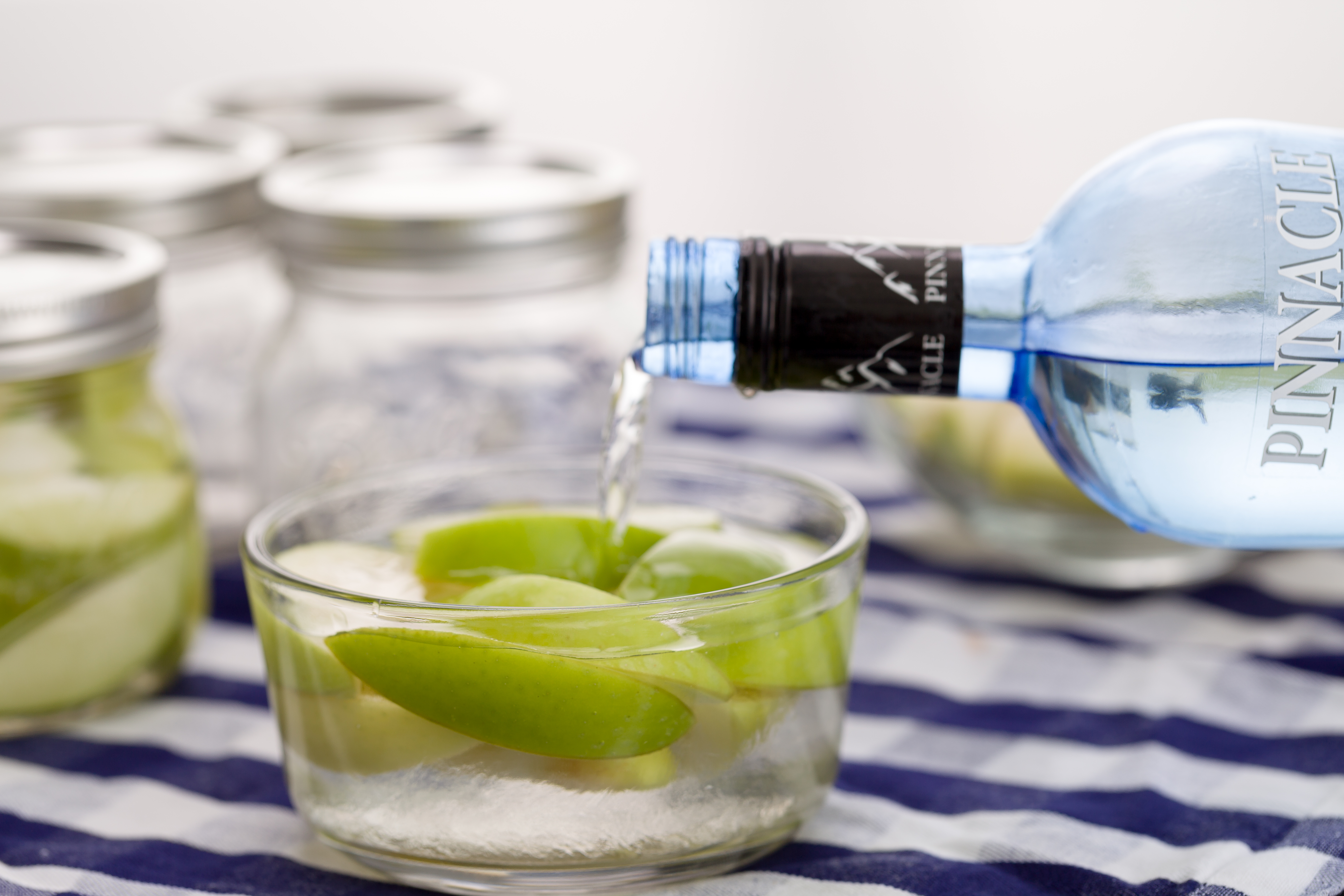 Things To Soak In Alcohol VodkaSoaked Gummies