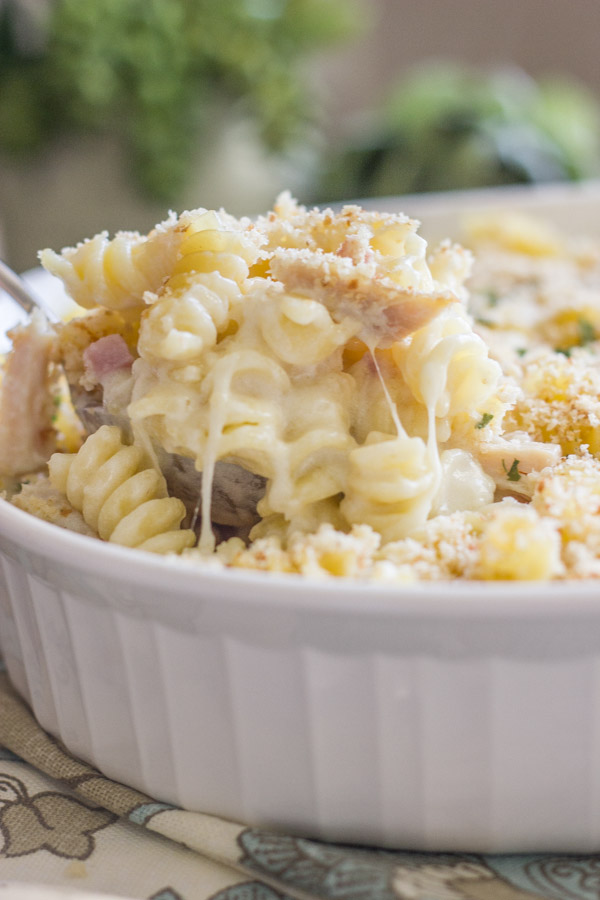 Easy chicken pasta bake recipes Easy chicken pasta bake recipes