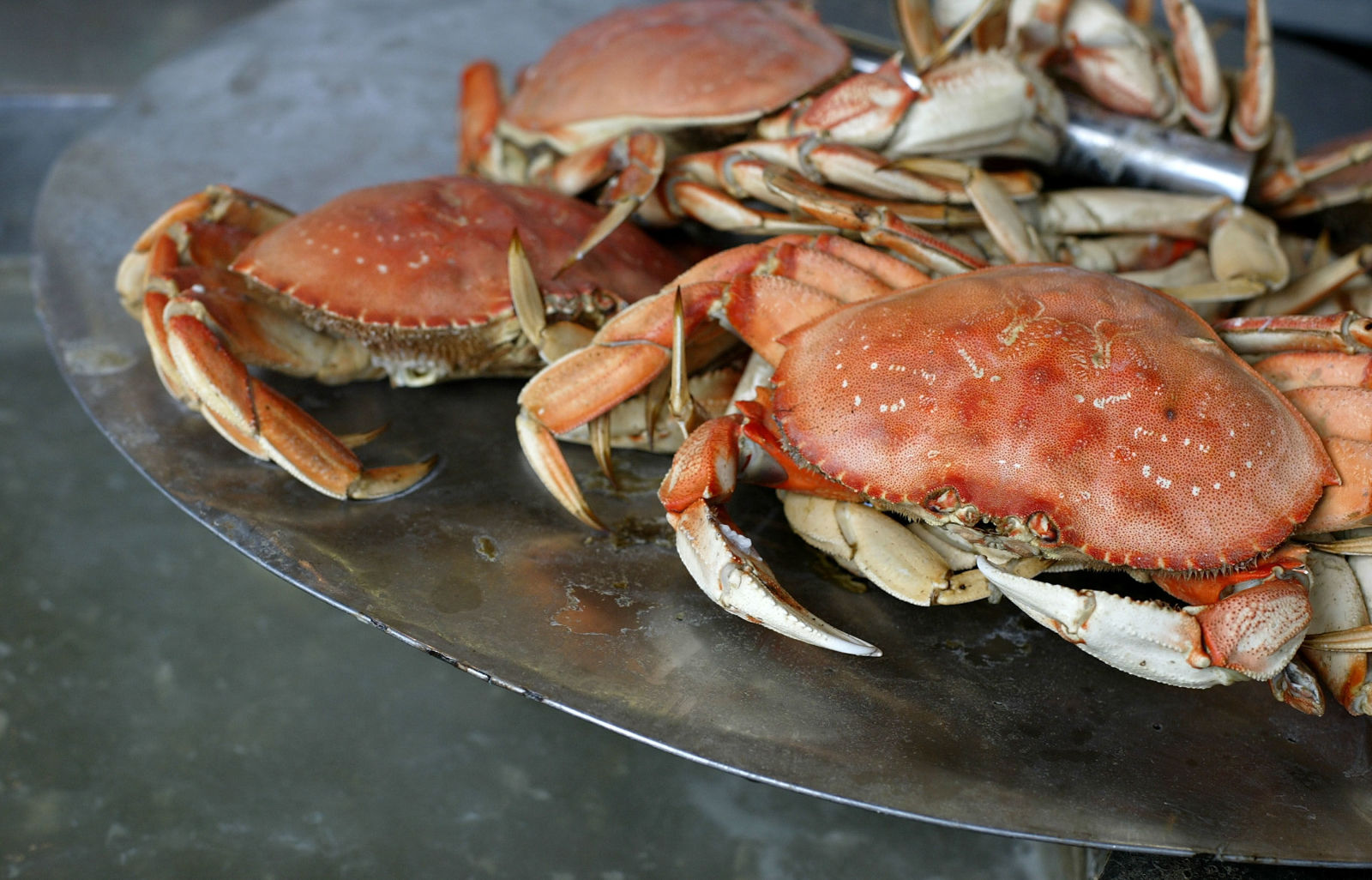 California Dungeness Crab Warning Dungeness and Rock Crabs Contain