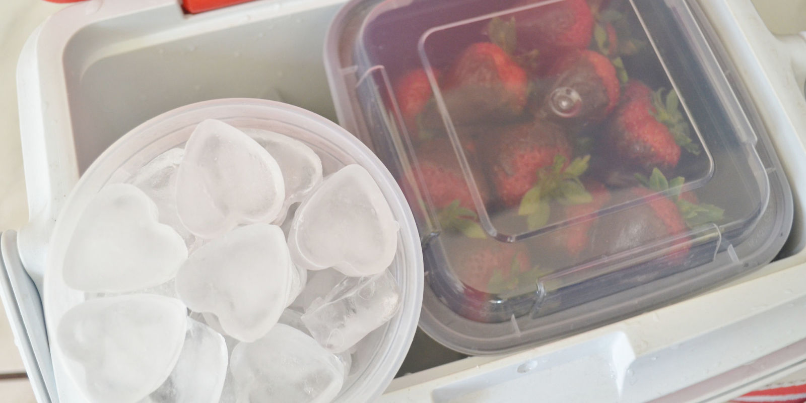 Best Way to Pack a Cooler How to Keep Things Cold Longer