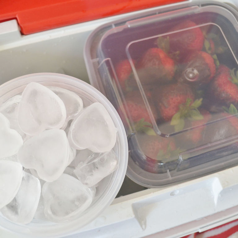 Best Way to Pack a Cooler How to Keep Things Cold Longer