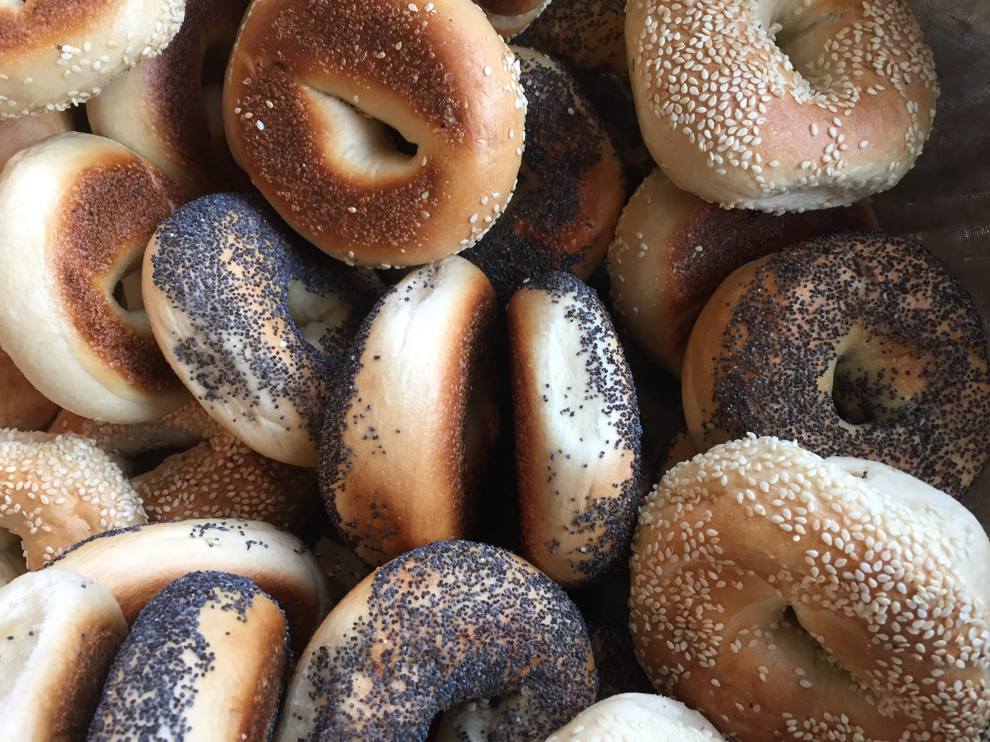 50 Best Bagel Shops In America Top Bagel Shop In Your State