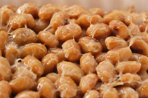 Natto