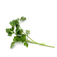 Best Shakshuka with Feta and Parsley Recipe-How To Make Shakshuka with