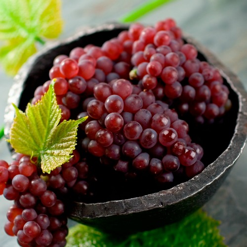 World's Most Expensive Grapes Japanese Ruby Roman Grapes