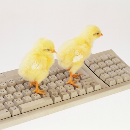 KFC is Producing the Coolest Keyboard Ever