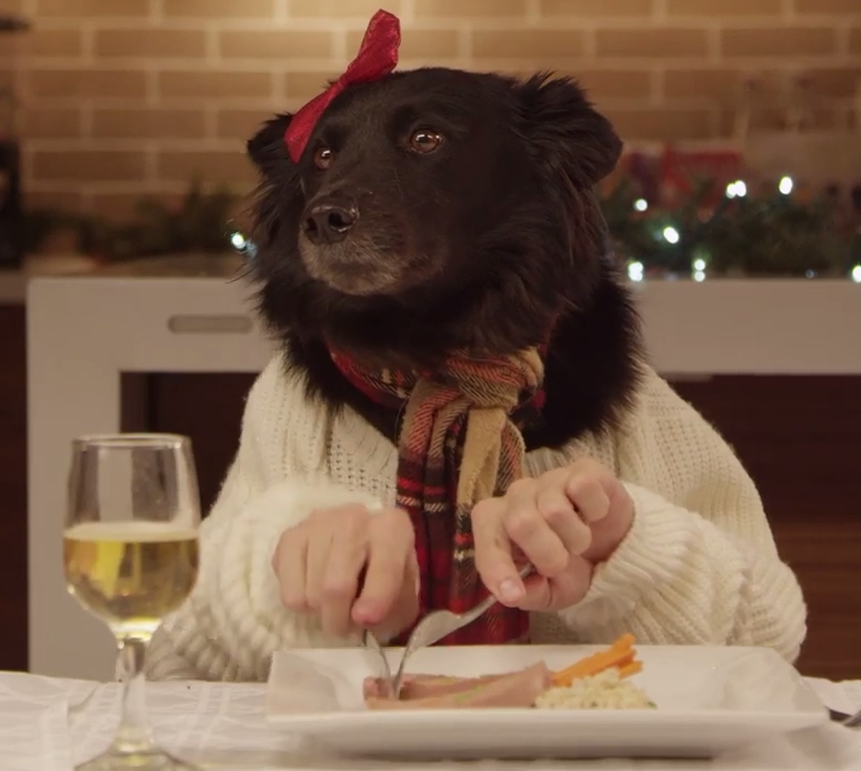 Freshpet Holiday Dinner Commercial